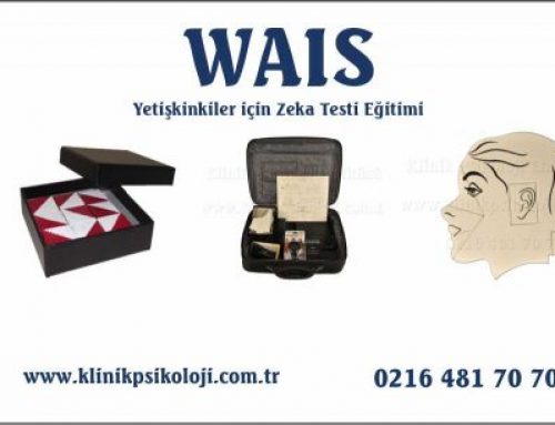 WAIS Eğitimi
