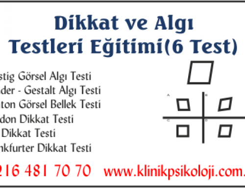Dikkat ve Algı Testleri Eğitimi