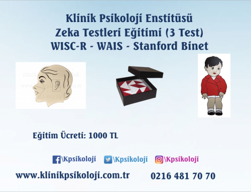 Zeka Testleri Eğitimi (2020)